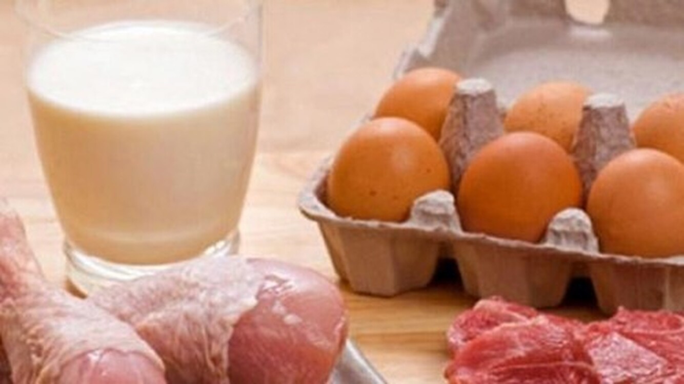 Минсельхоз прогнозирует рост производства мяса и молока в 2022 году — Today.kg