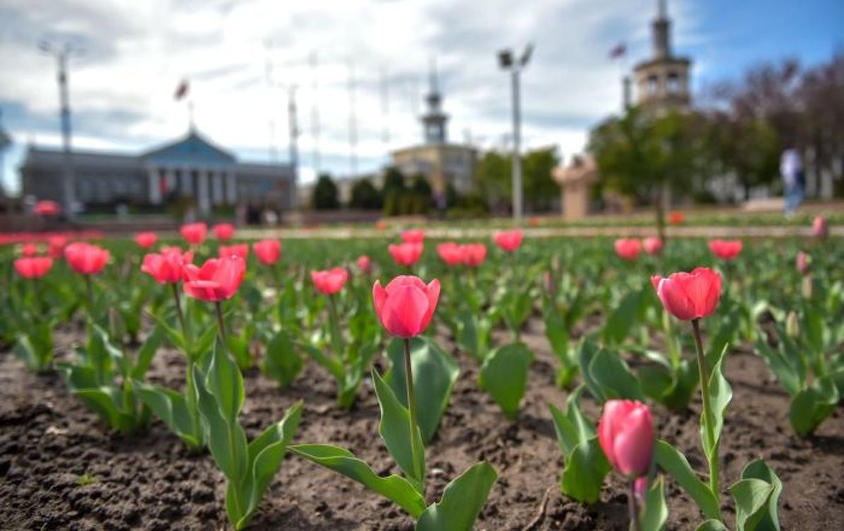До 24 градусов тепла — погода в Бишкеке 4 апреля — Today.kg