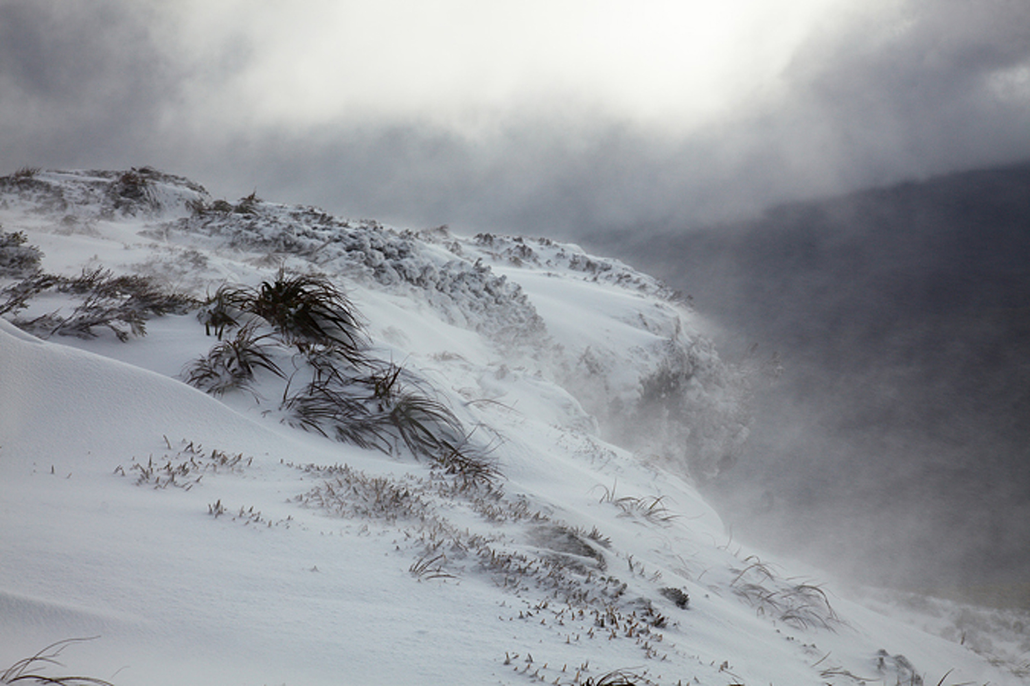 Альпинисты из Казахстана попали в снежную ловушку в горах Тянь-Шаня — Today.kg