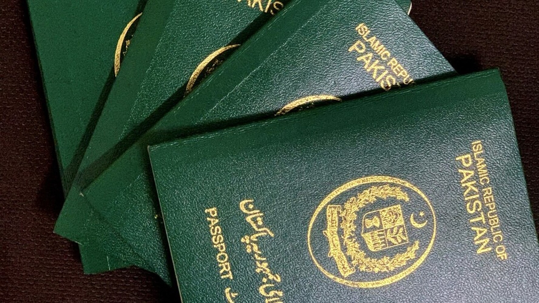 В Кыргызстане пакистанцы продавали землякам поддельные шенгенские визы, - ГКНБ — Today.kg