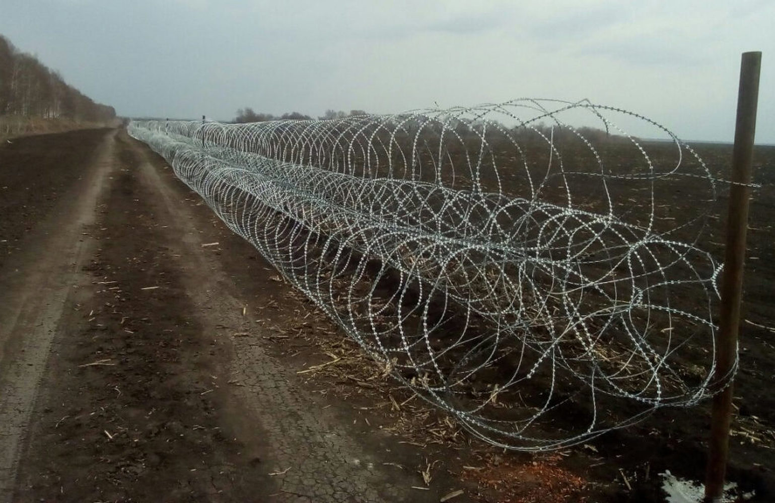 Кыргызстан оградил 20 км линии на границе с Узбекистаном колючей проволокой, - вице-премьер Жениш Разаков — Today.kg