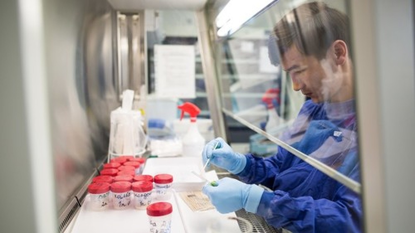 Российские ученые создали высокоточный тест для диагностики коронавируса — Today.kg