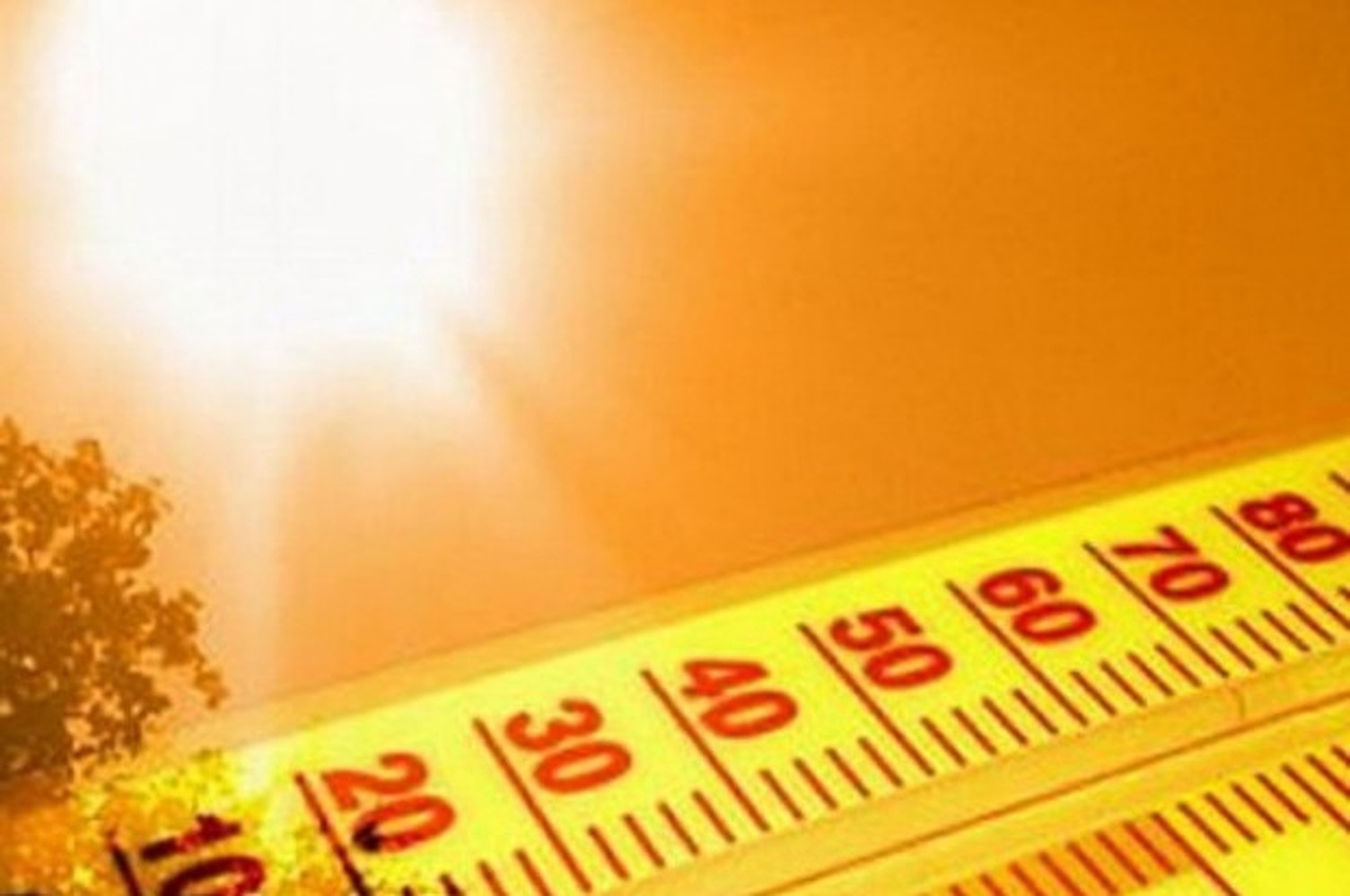 Как избежать солнечного удара в аномальную жару — Today.kg