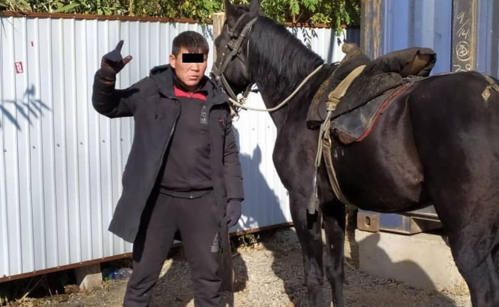 В Узгене скотокрад  сделал фото с краденой лошадью. Его вычислили и арестовали — Today.kg