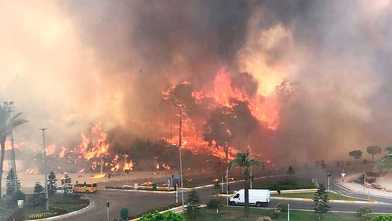 В результате лесных пожаров в Турции погибло 8 человек — Today.kg