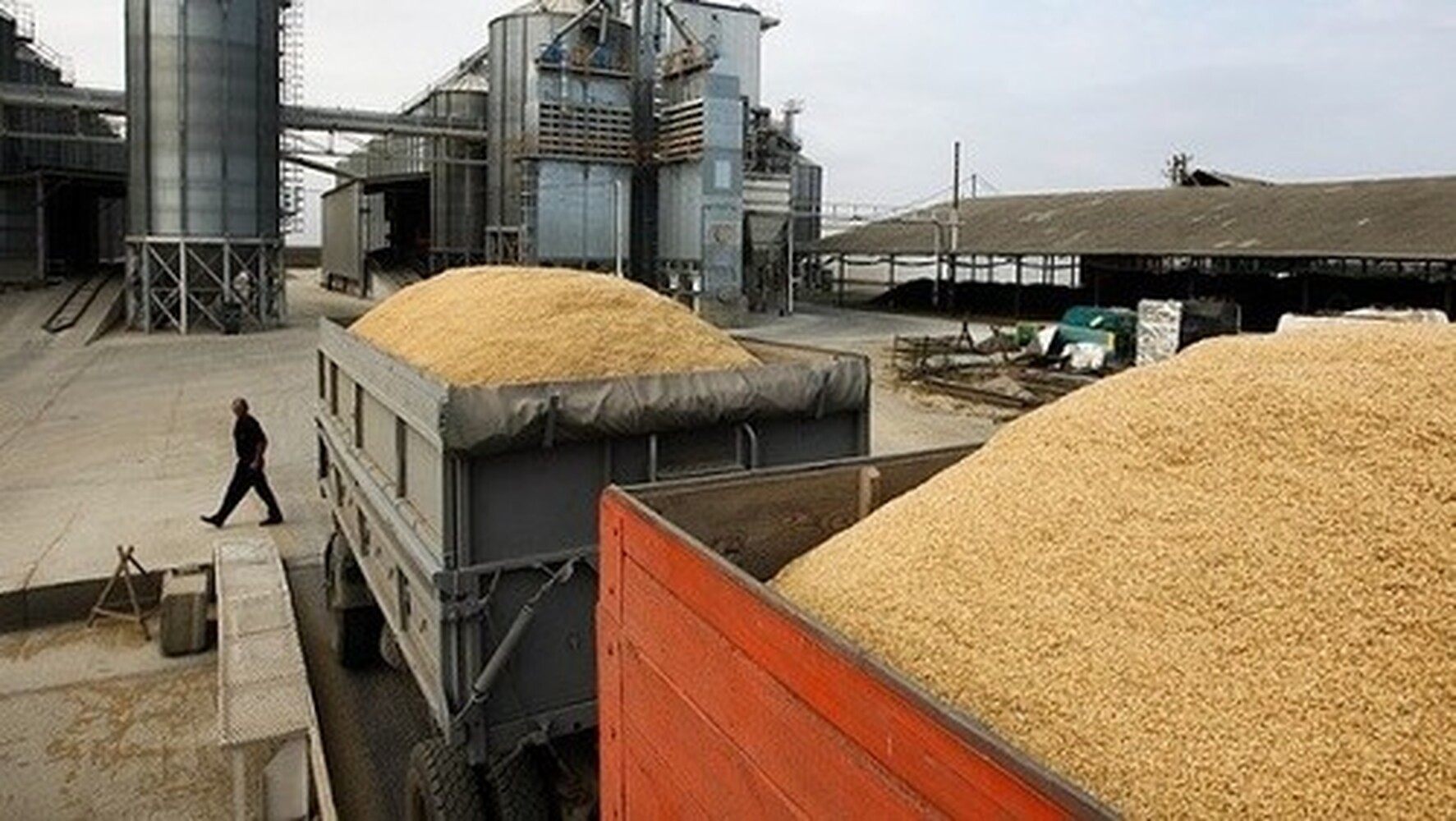 С начала года из Красноярского края РФ экспортировали в Кыргызстан 13,2 тыс. тонн зерна — Today.kg