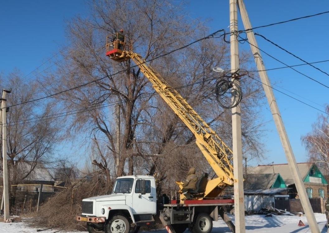 Для чего в Бишкеке проводят обрезку деревьев? Пояснение энергетиков — Today.kg