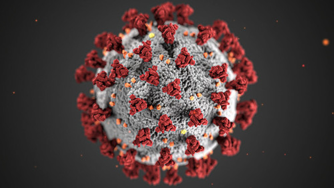 Британские исследователи выявили шесть типов коронавируса по симптомам — Today.kg