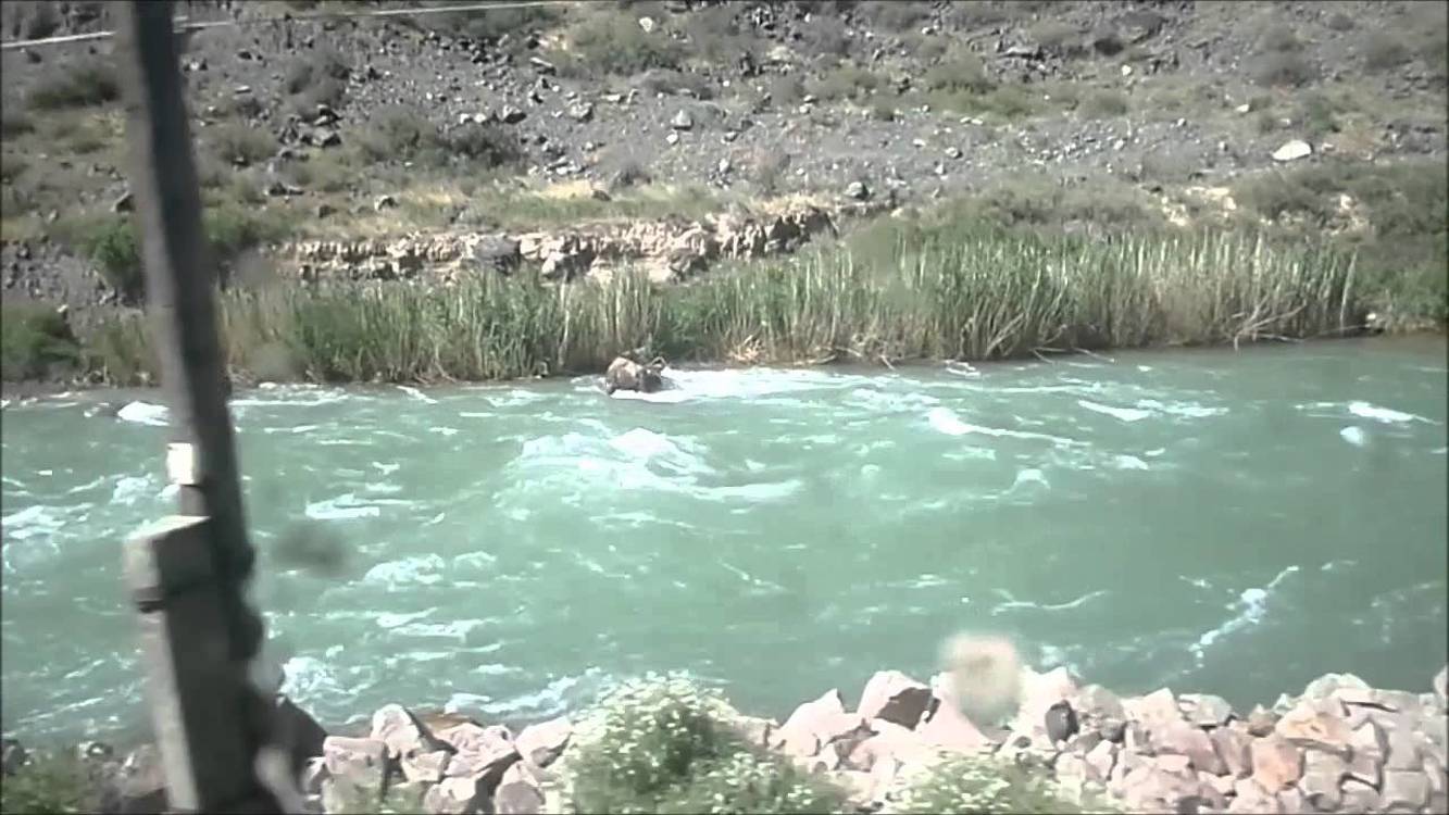 Кыргызстанцы решили перейти вброд реку Чу и попасть на родину — Today.kg