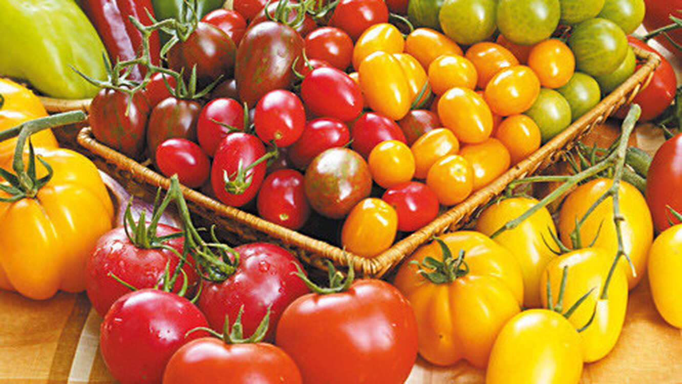 Россельхознадзор снял запрет по ввозу томатов и перцев из Кыргызстана — Today.kg