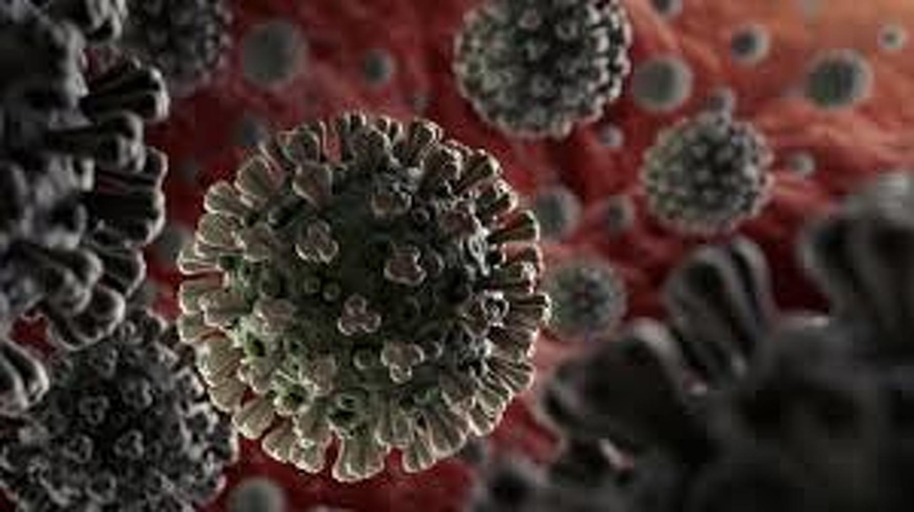 В Европе заражаются новой мутацией коронавируса. Смертность за неделю выросла на 32 процента — Today.kg