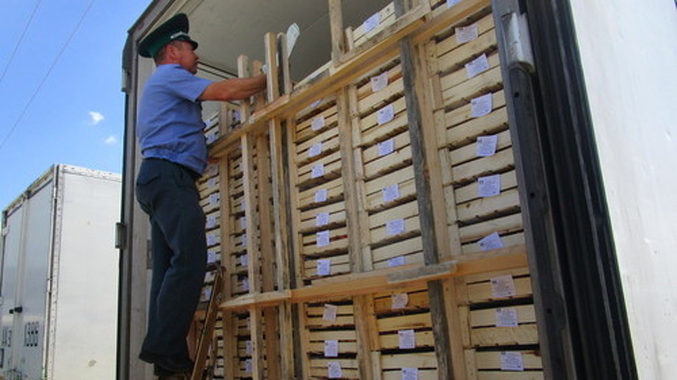 В Кыргызстан из Алтайского края вернули 4,25 тонны овощей и фруктов из-за отсутствия маркировки — Today.kg