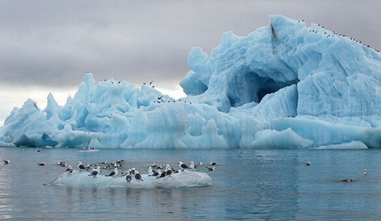 ООН зафиксировала рекордную жару в Арктике — Today.kg