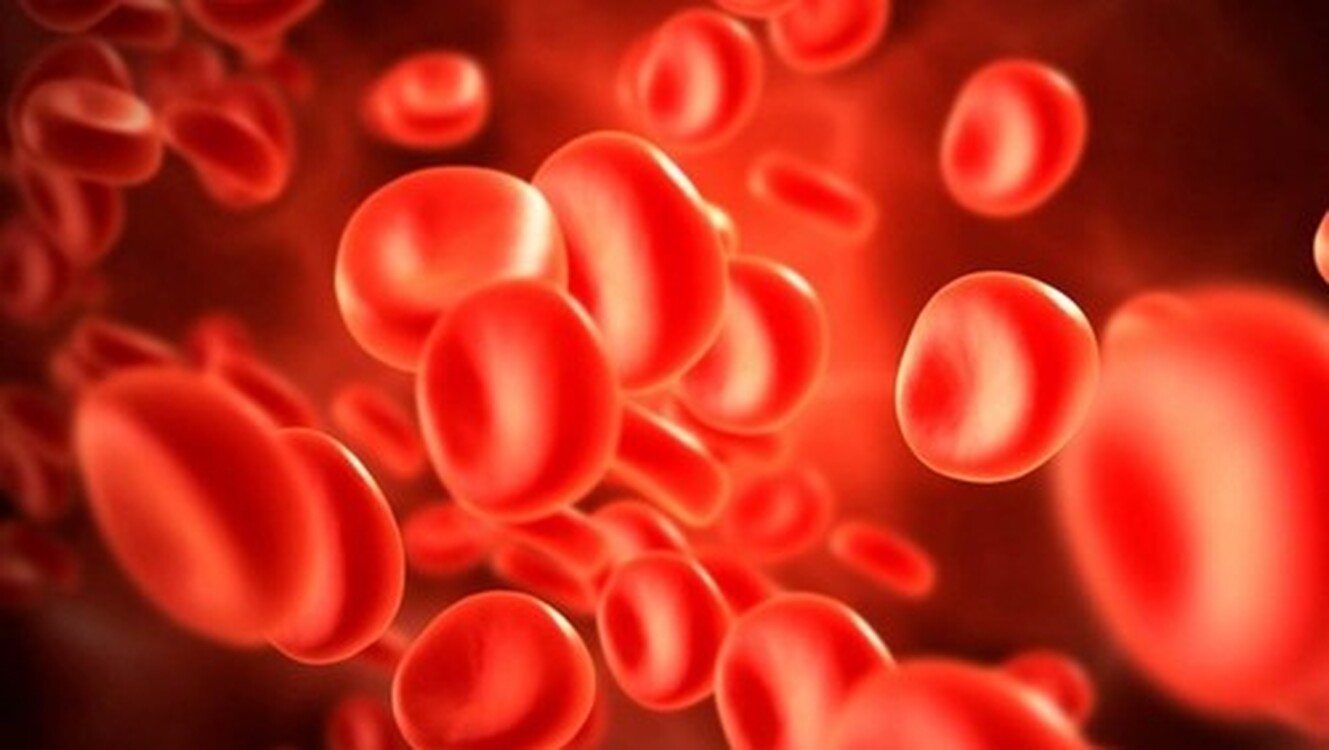 Биолог назвала более уязвимые перед коронавирусом группы крови — Today.kg