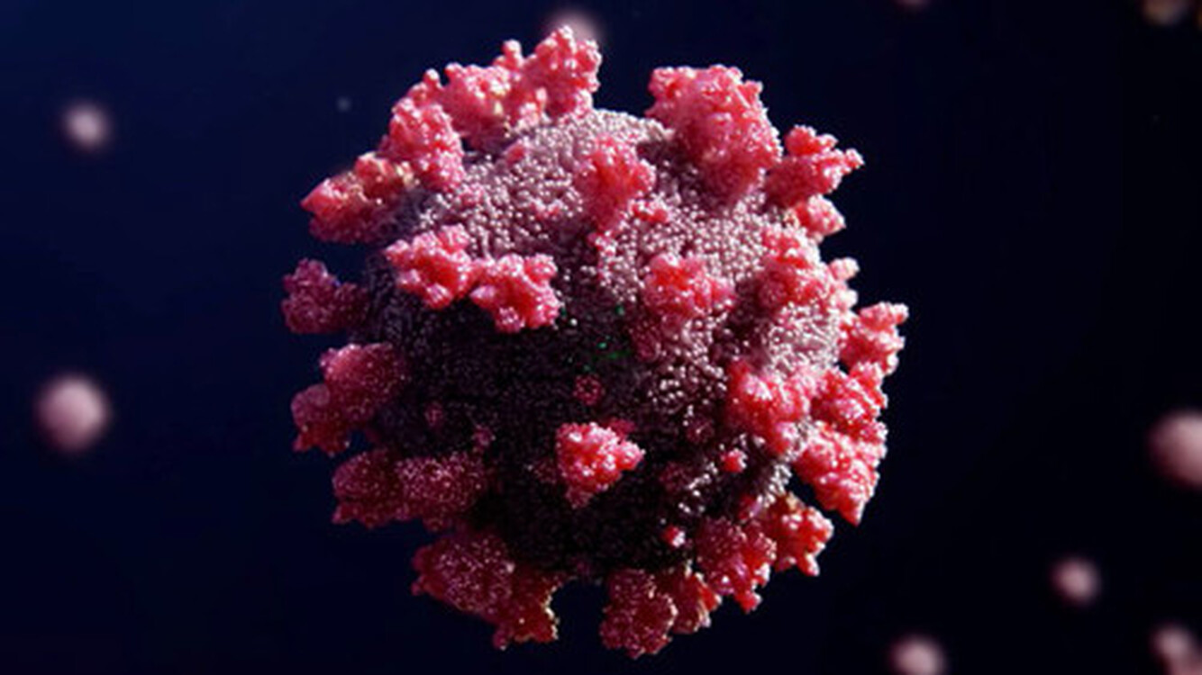 Врачи назвали отличия течения коронавируса при «омикроне»-штамме — Today.kg